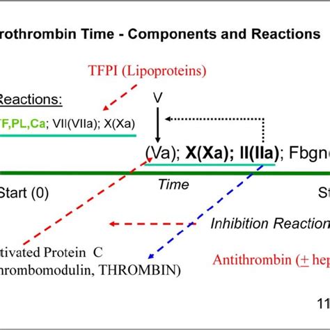 difference between inr and protime.